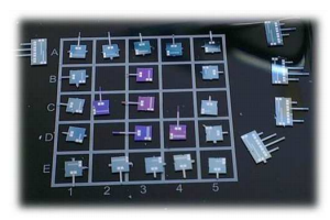 1760166319329471.png image.png