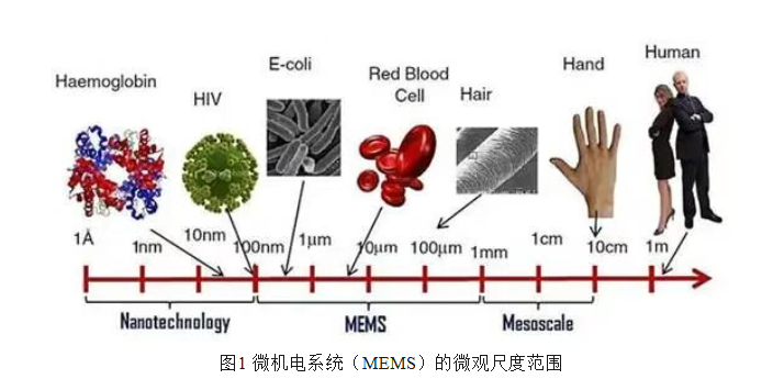 1771243211644638.png a61ba694b6bc79877d454d2138cb05ad.png