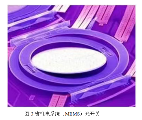 1771243270300376.png fdadb39589ad05bb5ab178f4161fca83.png